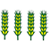 4 ears of corn