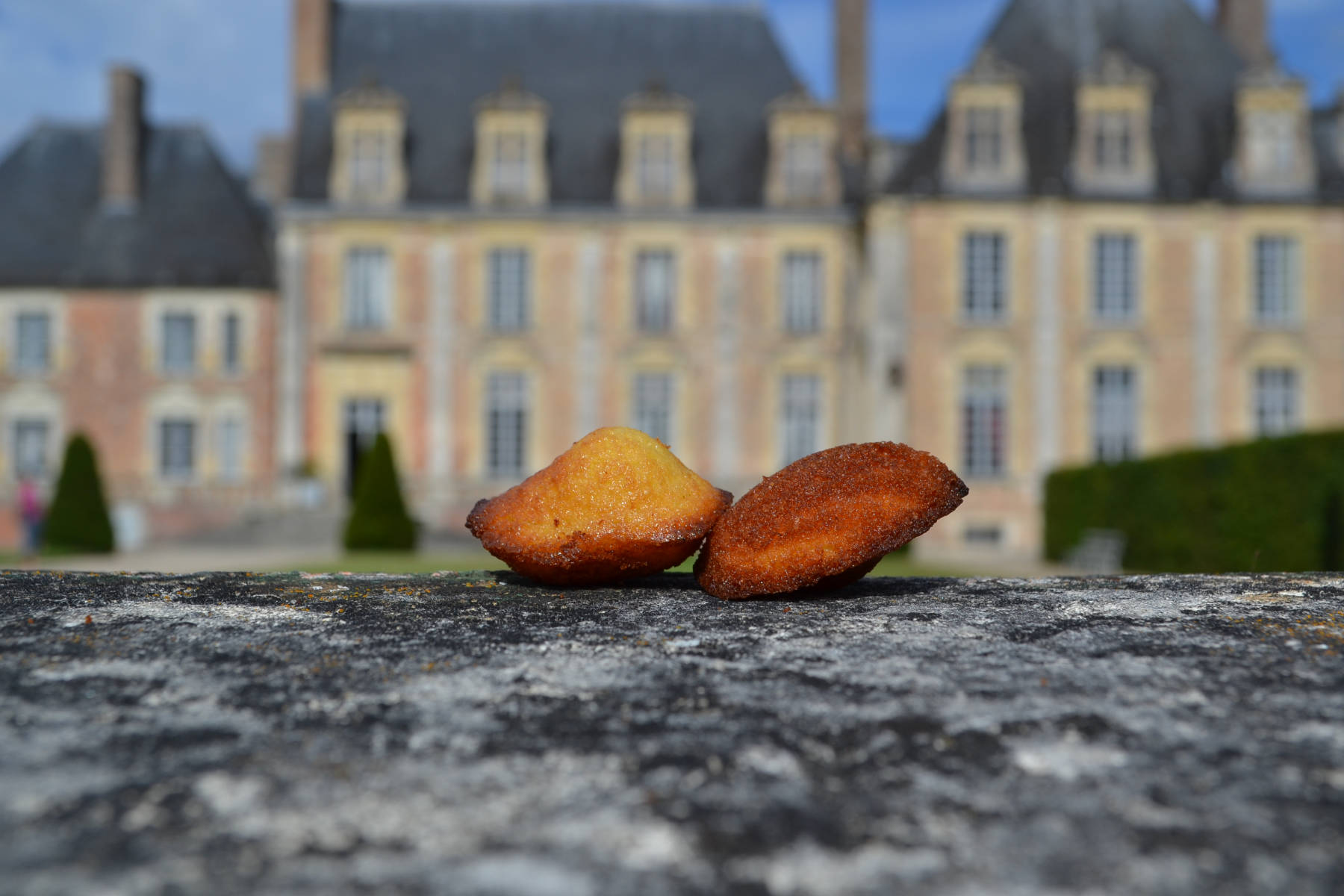 Madeleine au miel de Sologne du Château de La Ferté Saint-Aubin