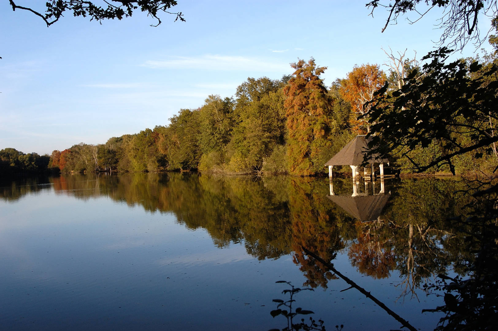 Etang de Sologne, reflet sur l'eau aux couleurs d'automne