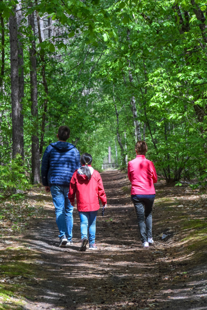 Randonnée en famille en forêt de Sologne