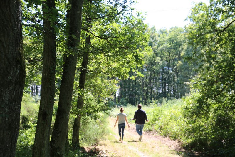 Promenade aux Dolines de Limère à Ardon