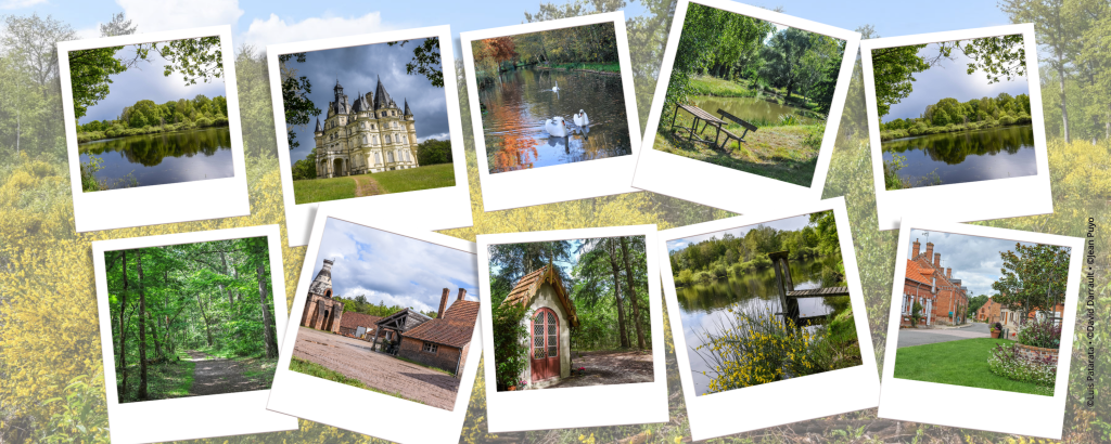 top 5 des randonnées portes de sologne